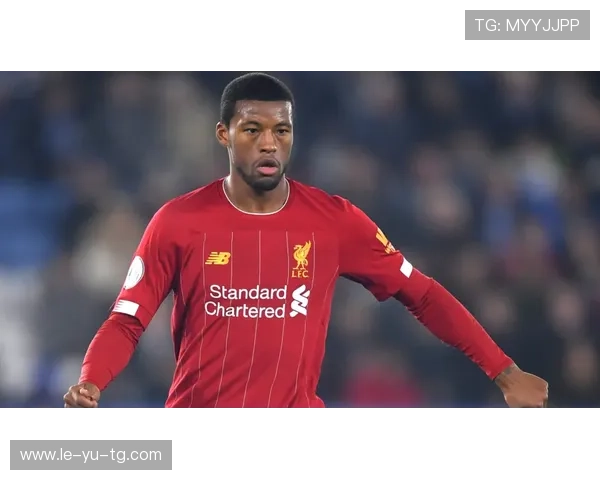 维纳尔杜姆：荷兰中场攻防枢纽再启航