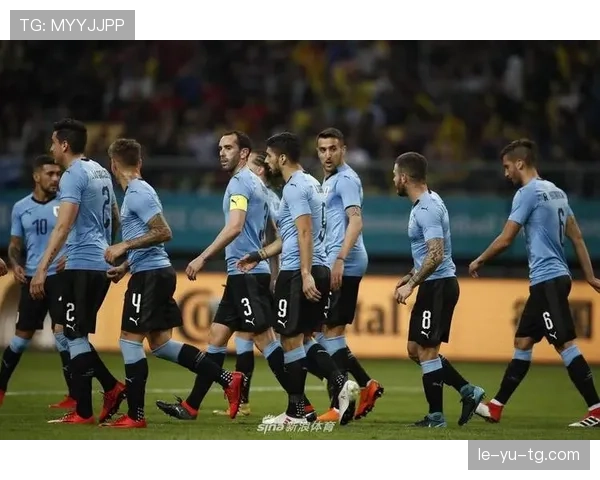 乌拉圭队战术风格解析：灵活多变与团队协作成制胜关键