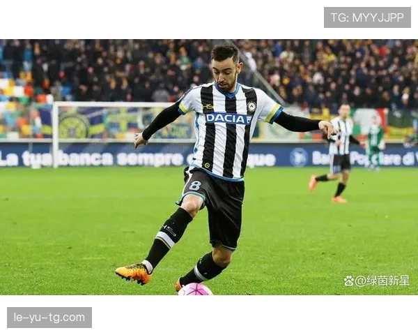 乌迪内斯青训体系再结硕果，新星蓄势待发引足坛瞩目