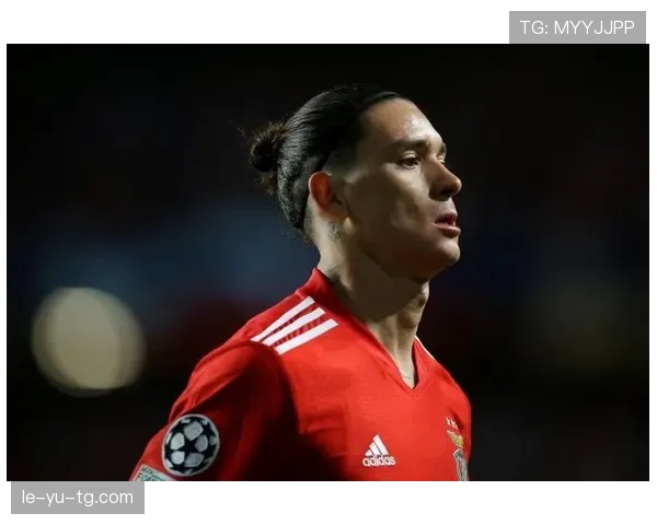 努涅斯本菲卡时期荣誉解析:成名基础是否已奠定 努涅斯本菲卡时期荣誉解析:成名基础是否已奠定