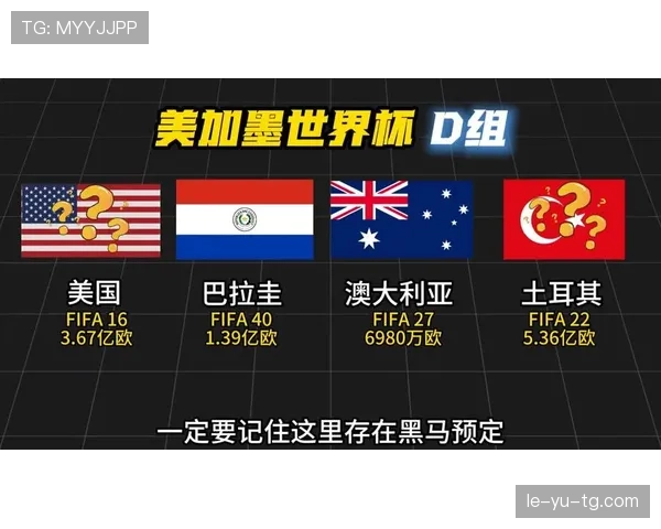 世界杯美国队D组终极出线预测